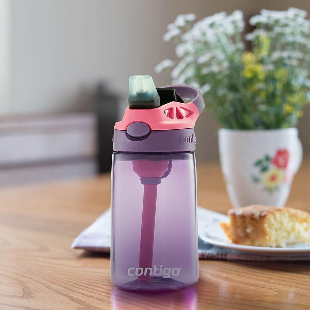 Re A Fantastic Go Cart R-AFGCコンピ Contigo | Garrafa Gizmo Flip Kids AUTOSPOUT® Rosa Roxo | 414ml