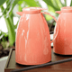 BULES-VIENA-GATILHO-1L-PESSEGO-2-min.png